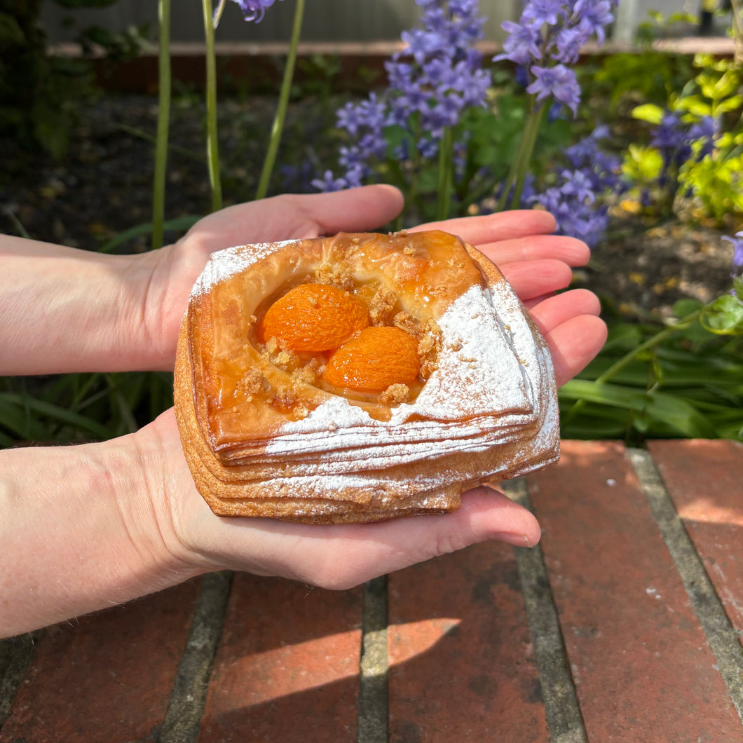 Apricot and Crumble Danish